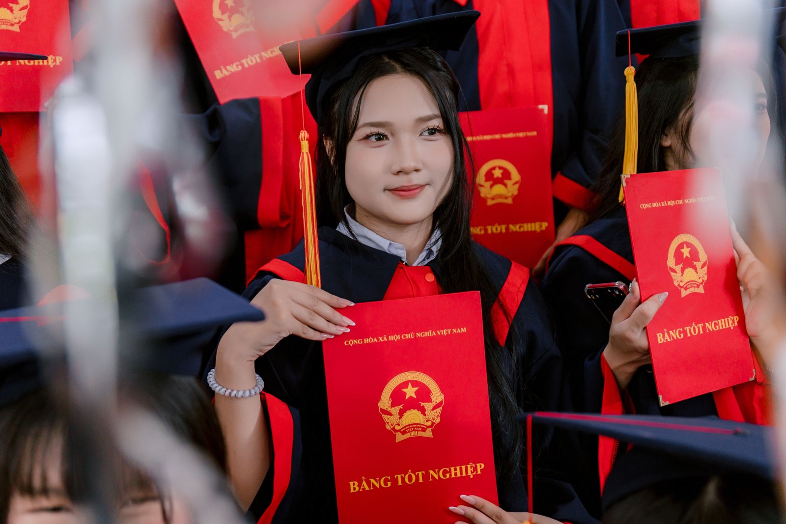 Bằng cấp, học bạ, chứng chỉ